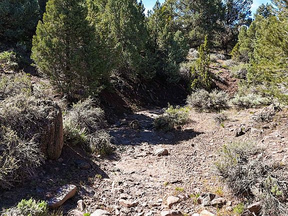 5th image of 2120 Castle Peak Rd