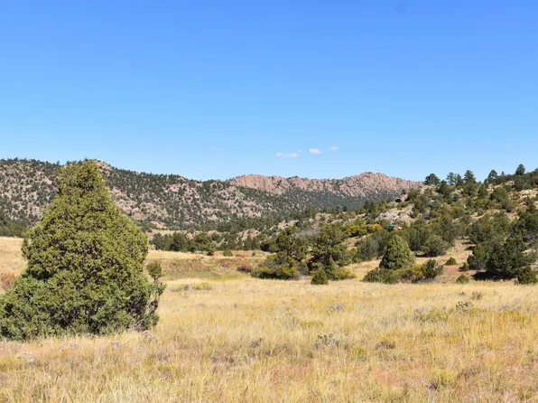 259 Stephen Dr, Westcliffe, CO 81252