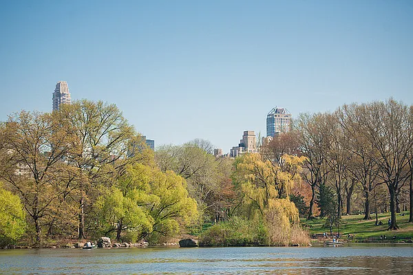 Rented by Compass | media 17