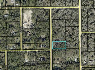 2157 Grove St LOT 10, Bunnell, FL 32110