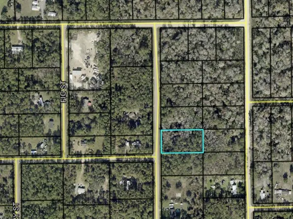 2157 Grove St Lot 10, Bunnell, FL 32110