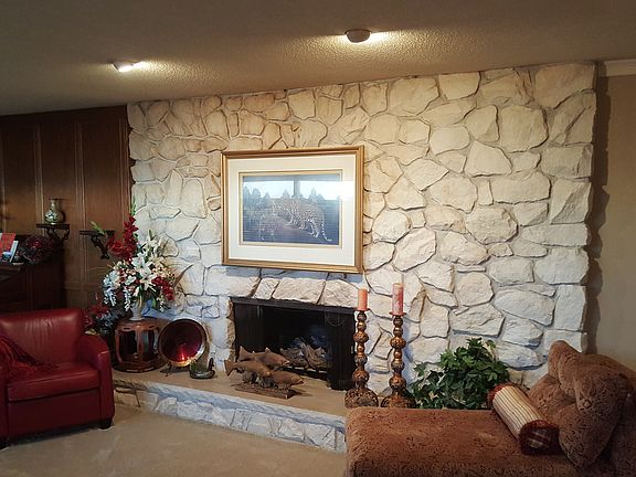 Living room gas log insert