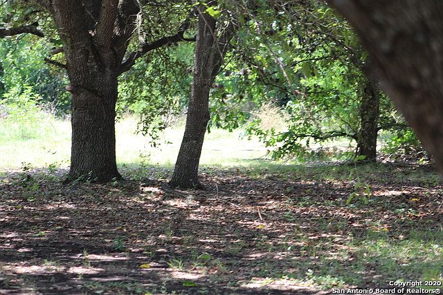 1st image of 8730 Quailwood Run