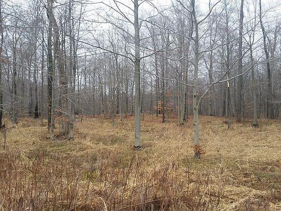 2nd image of Ledgebrook Ln