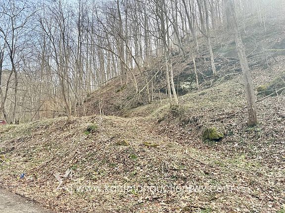 2nd image of 0 Pete Hollow Rd