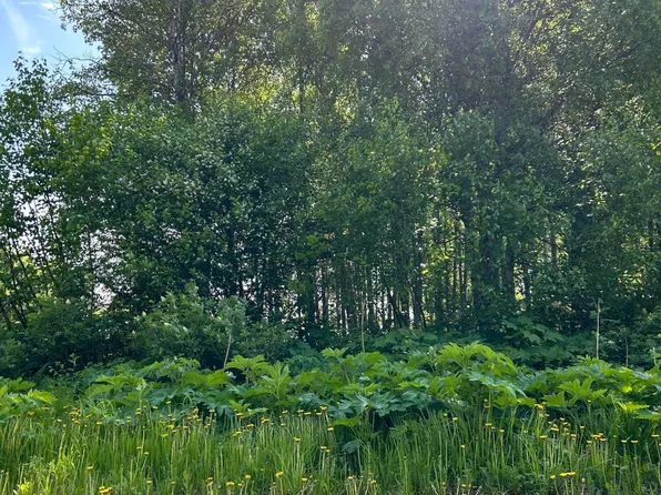 L6-B2 Ylmaki Way, Kenai, AK 99611