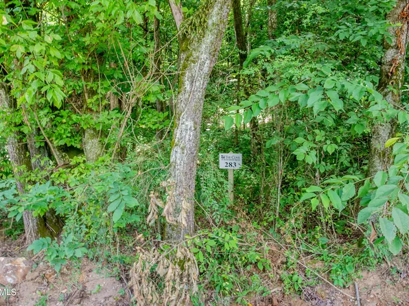 4485 Huffine Rd Lot 283, Loudon, TN 37774