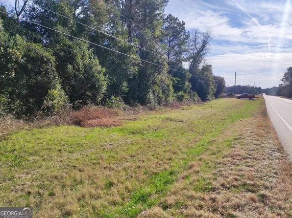 0 State Route 90 Rd, Oglethorpe, GA 31068