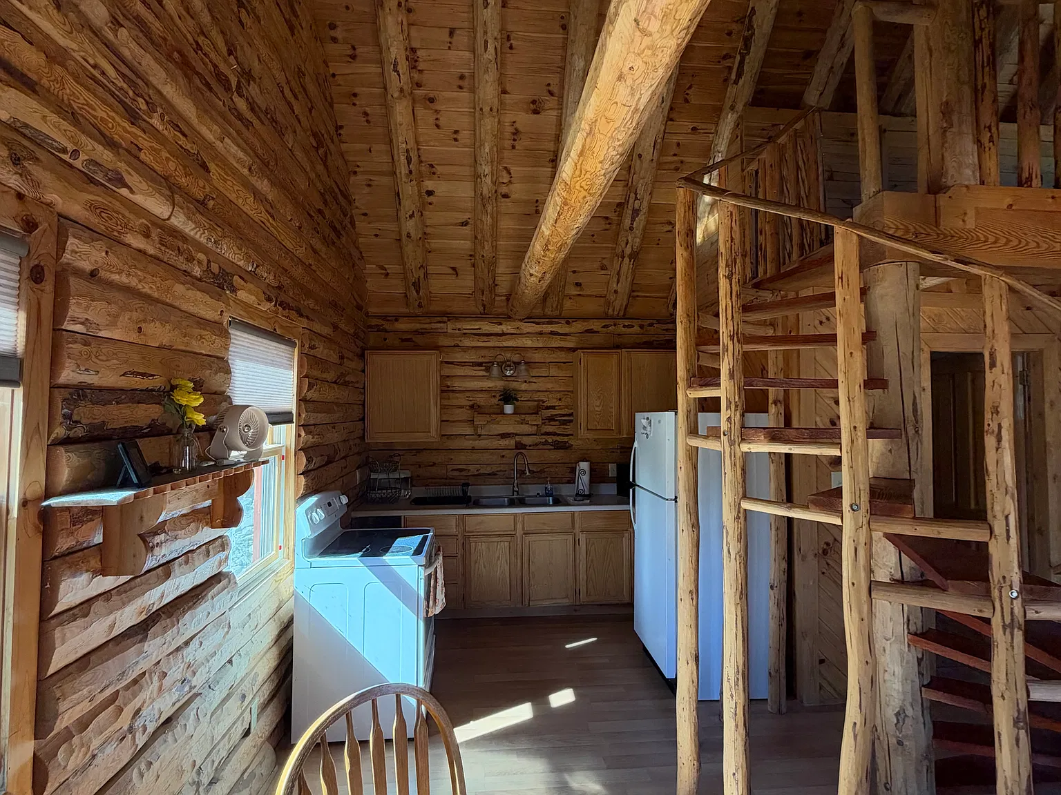 1 bed, 800 sqft, $1,600 — Photo 3