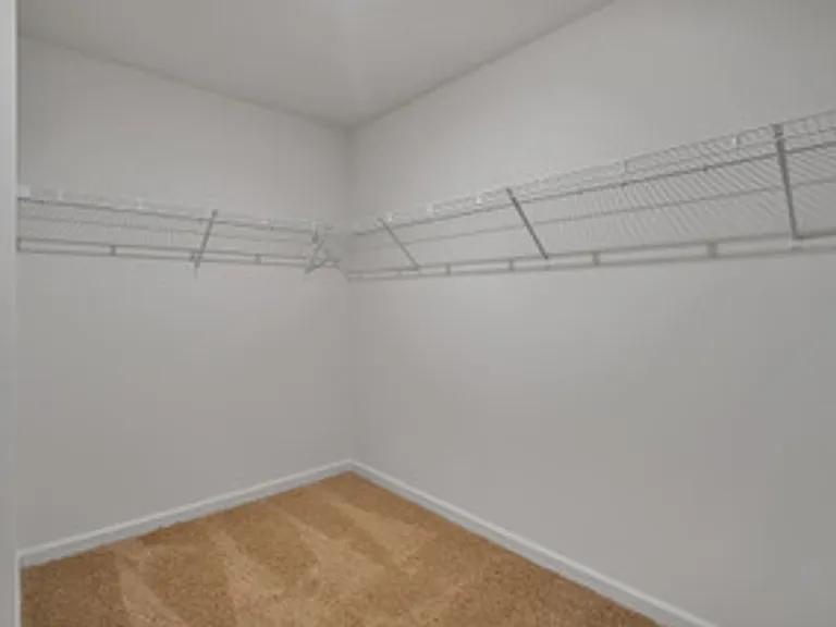 1025 Curly Top Ln — Photo 14