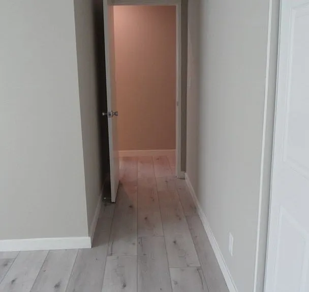 1241 E Diana Ave — Photo 22