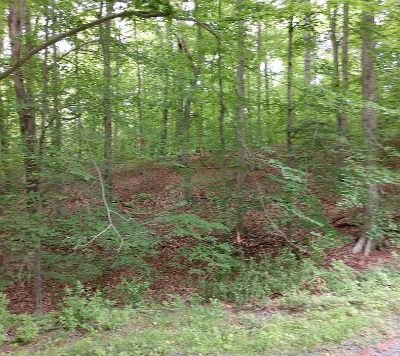 1st image of 11657 Thunder Dr
