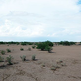 1st image of Grafton Drive
