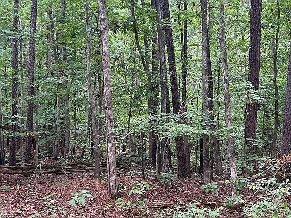 3rd image of 0 Ridge Rd