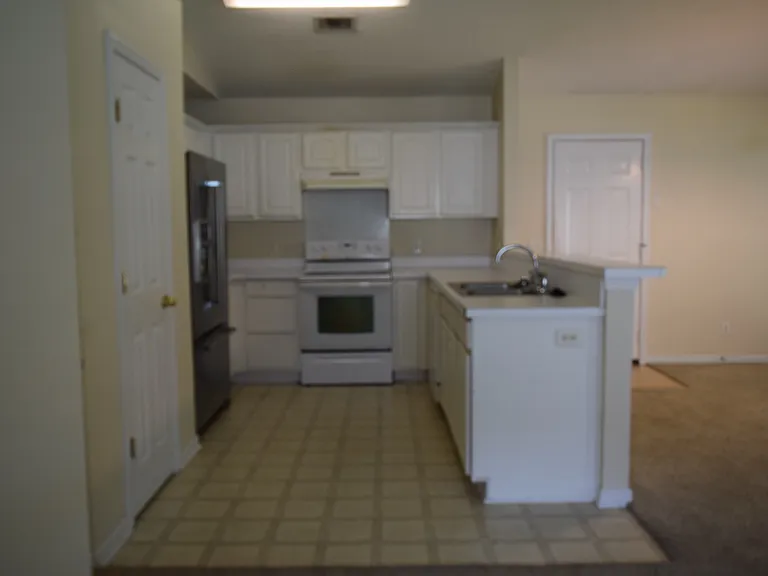 102 Trellis Way — Photo 14