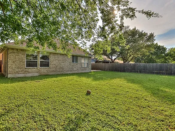Back yard
