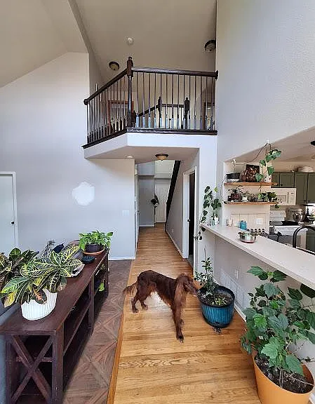 5124 Belle Star Dr — Photo 17