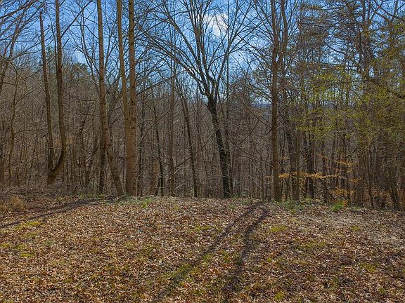 5th image of 59 Timberwalk Est