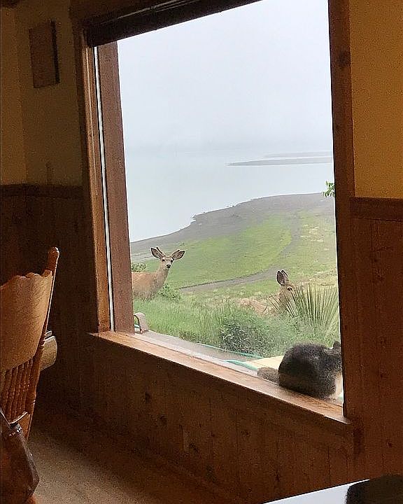 2nd image of 8 Catfish Bay Rd