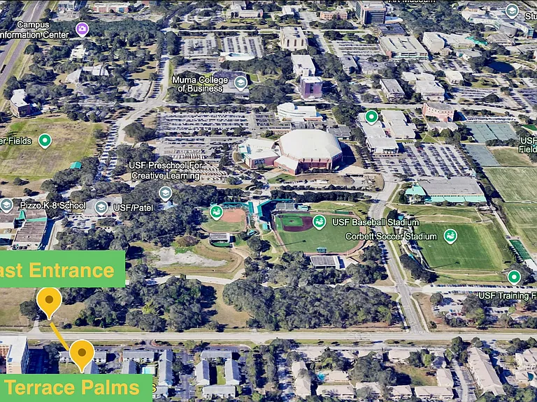 Proximity from condo to USF's East Entrance