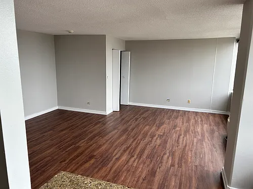 1220 S Michigan Ave #5-2605 Photo 1