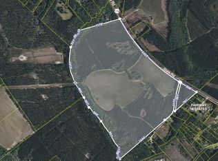 4391 State Rd, Ridgeville, SC 29472