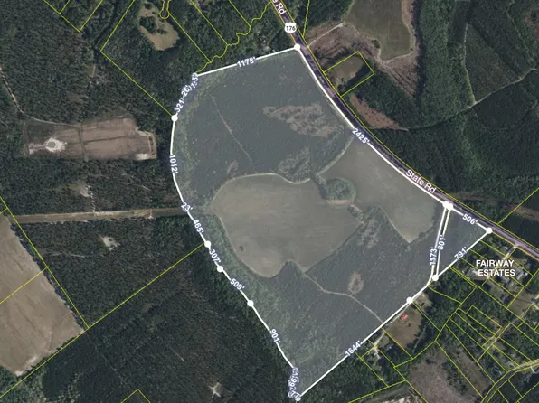4391 State Highway 176, Ridgeville, SC 29472