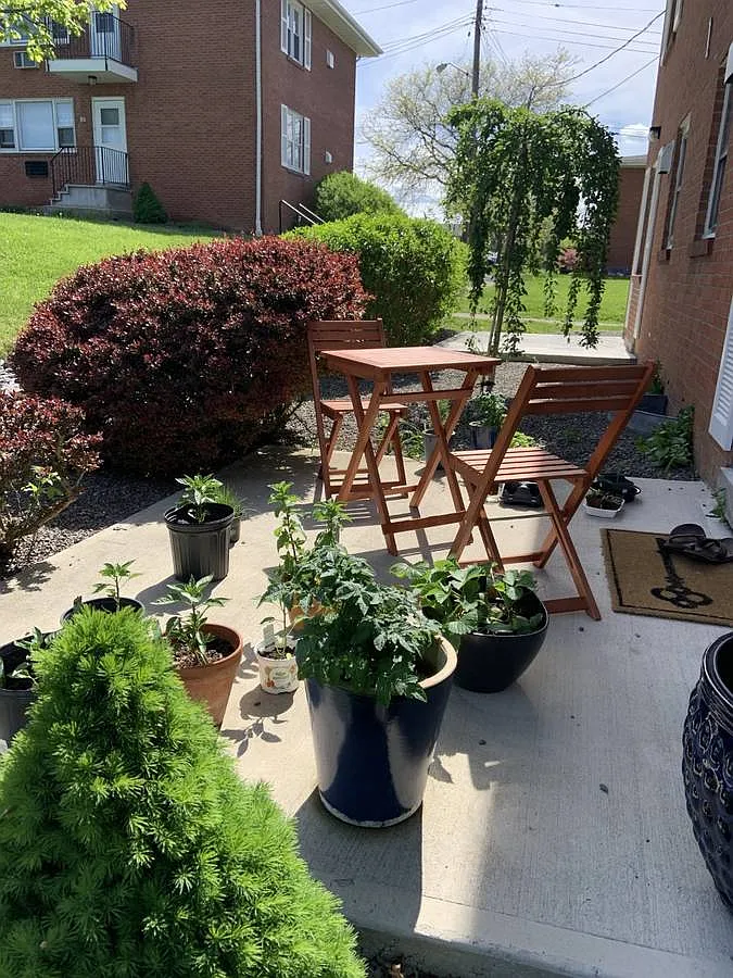 2 bed, 1950 sqft, $1,500 — Photo 1
