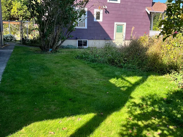 Side yard