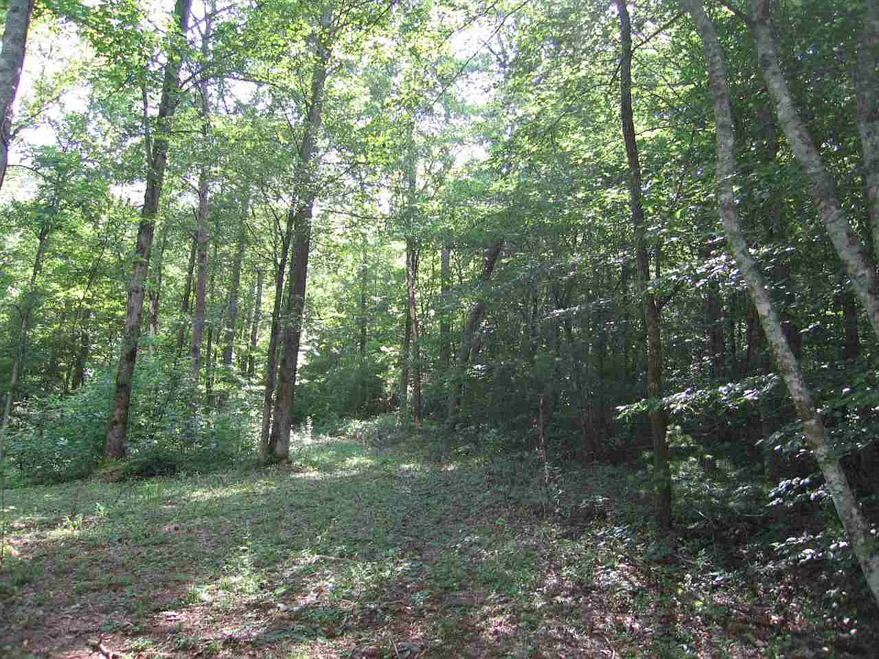 0 Hambright Rd, Reliance, TN 37369 Zillow