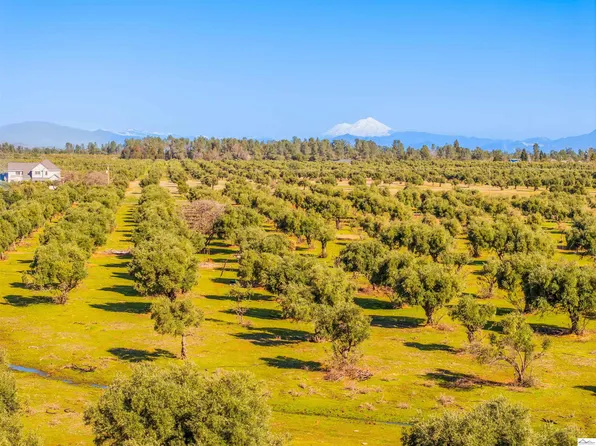 16897 Olinda Rd, Anderson, CA 96007