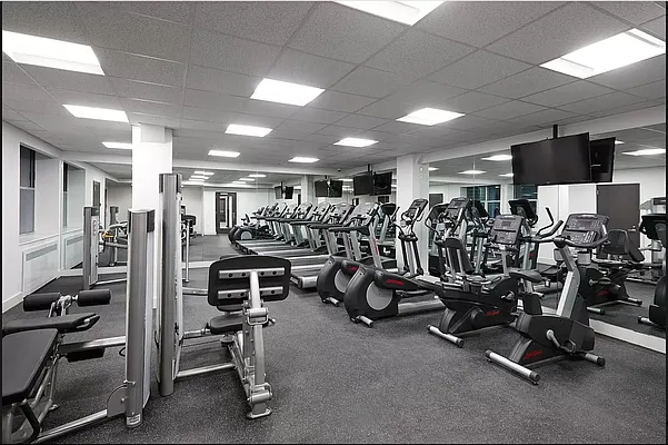 Rented by Douglas Elliman | media 19