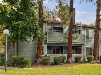 760 Canyon Oaks Dr APT A, Oakland, CA, 94605