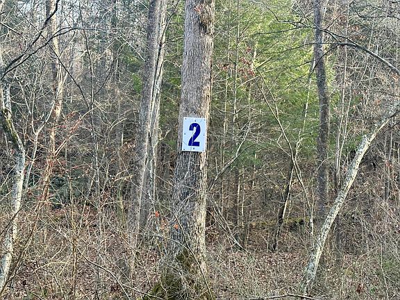 2nd image of 2 Radford Rd