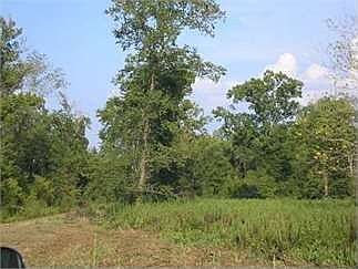 3rd image of 760 McKeithen Dr