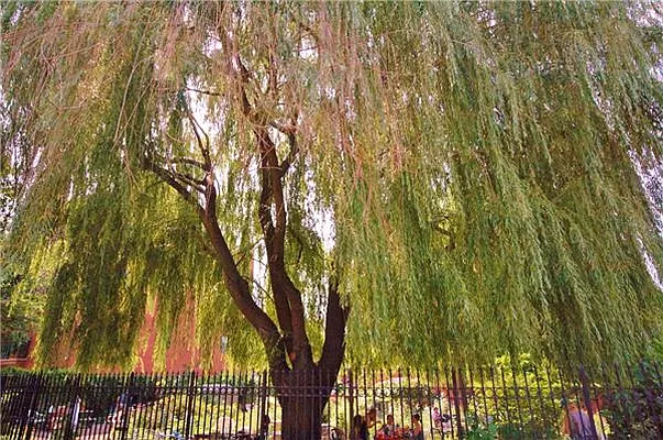 Rented by R New York | media 26