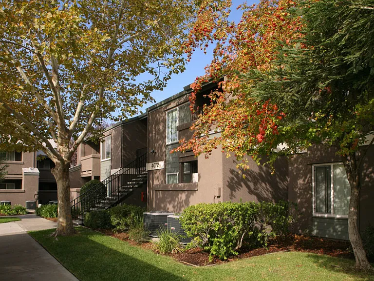 Mosaic Gardens at Taylor Terrace — Photo 3