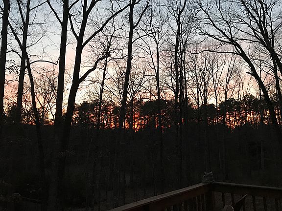 Dusk on the deck
