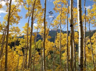 Little Annie Rd, Aspen, CO 81611