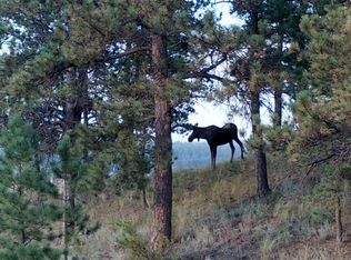 1144 Wilson Rd, Florissant, CO 80816