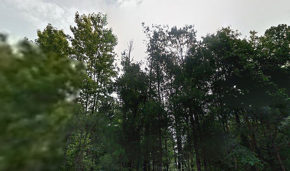 2nd image of 3280 County Line Church Rd