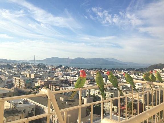 3rd image of 2701 Van Ness Ave APT 709