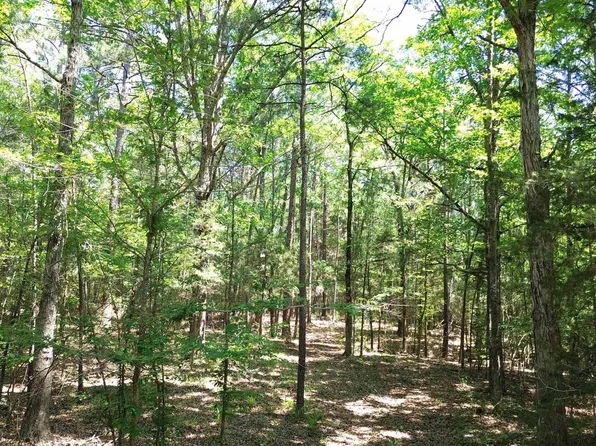 County Road 4720, Kennard, TX 75847
