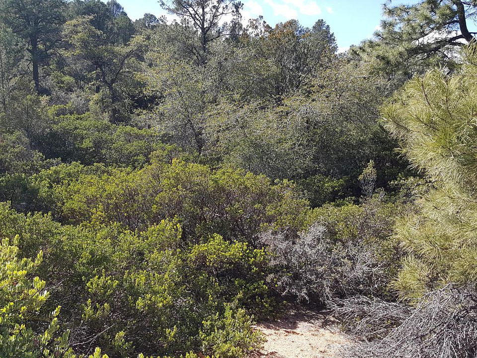 2nd image of 600 N Tyler Pkwy Lot '''-'''