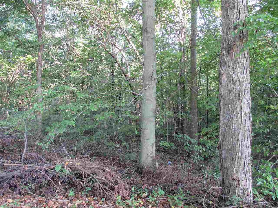 1st image of 0 Scott Ln Lot 4A