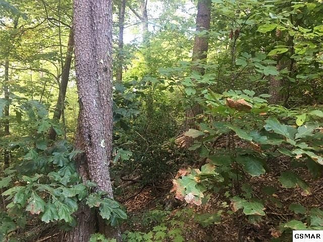 1st image of 1275 E View Dr Lot 1275
