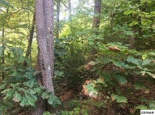 1275 E View Dr LOT 1275, Sevierville, TN 37876
