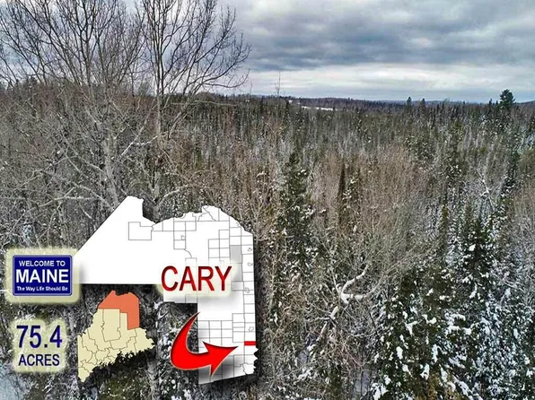 Lot 16 Brewer Road, Cary Plt, ME 04471