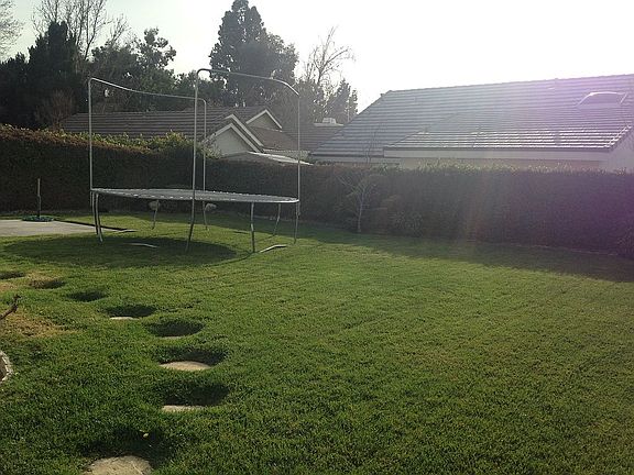 Large Backyard 