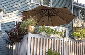 Gorgeous outdoor space